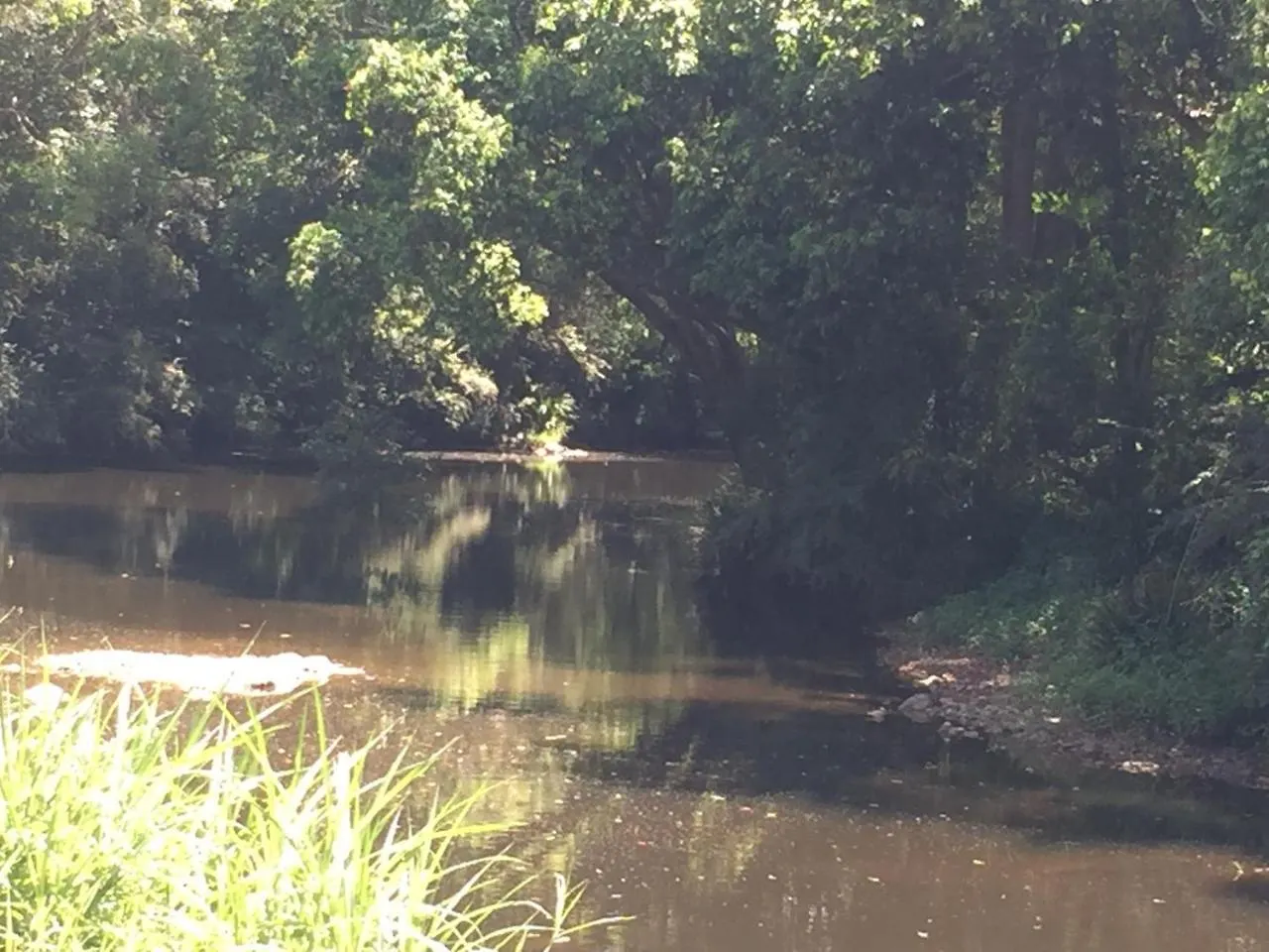 Yandina Caravan Park Kemping